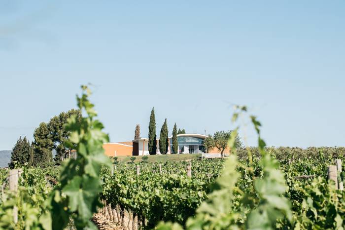 Jean Leon triunfa en Mundus Vini con medallas de oro para sus vinos
