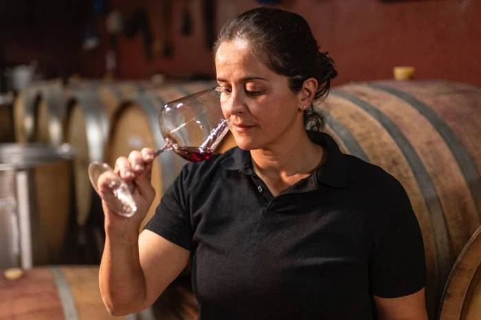 Vinos de Tacoronte-Acentejo brillan en los Soles Guía Repsol en Tenerife