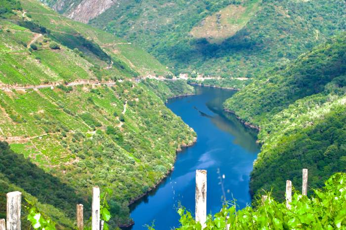 Ribeira Sacra se presenta en el Fórum Gastronómico de A Coruña