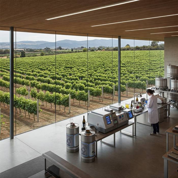 La Plataforma Tecnológica del Vino lanza el Premio de Innovación 2025