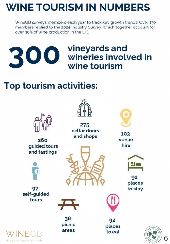 UK Wine Tourism Sees 55% Growth, Contributes 25% to Vineyard Revenue