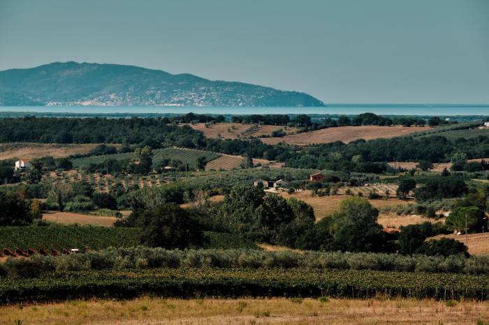 Morellino di Scansano to Showcase New