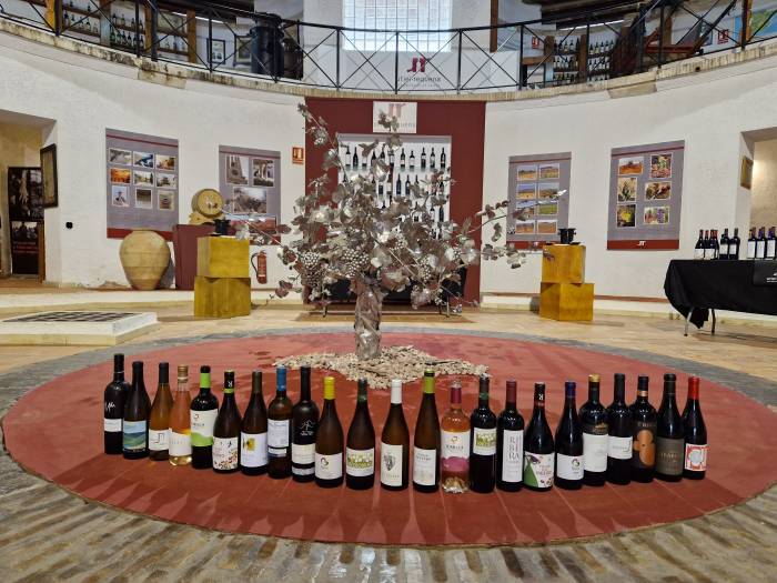 La XI Jornada de Enólogos de Utiel-Requena reúne a expertos para explorar la diversidad vinícola española