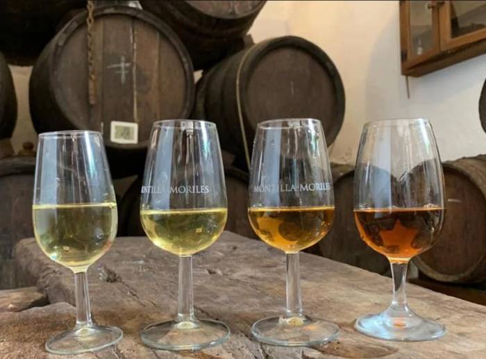 El colectivo VitiVinum exige una rectificación al Consejo Regulador de Montilla-Moriles por sus declaraciones en la Cata de Córdoba