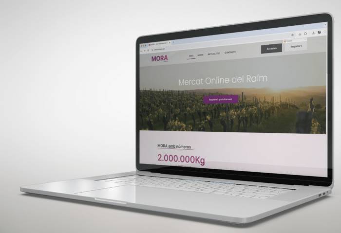 El mercado online de la uva facilita la compraventa en Cataluña ante una vendimia marcada por la sequía