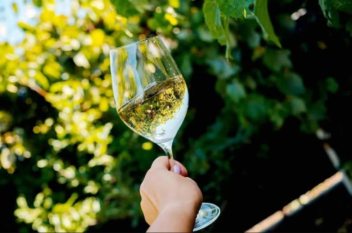 El Instituto Nacional de Vitivinicultura fija nuevos grados alcohólicos mínimos para vinos de la cosecha 2025