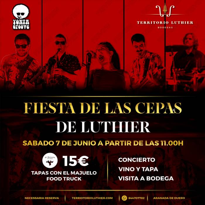 La Fiesta de Primavera de Territorio Luthier reúne vino, música y gastronomía en Aranda de Duero