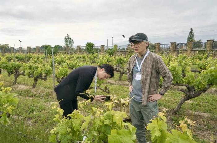 Profesionales japoneses exploran la oferta vinícola y gastronómica de Euskadi en una visita institucional