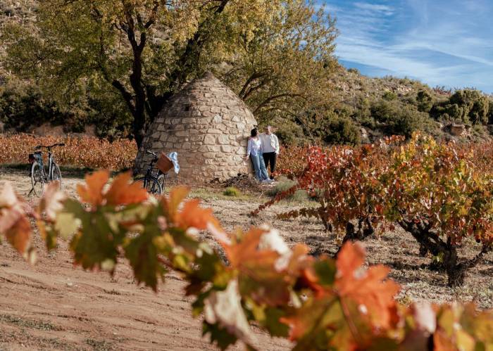 Rioja wine tourism reaches record high as international visitors and spending surge in 2024