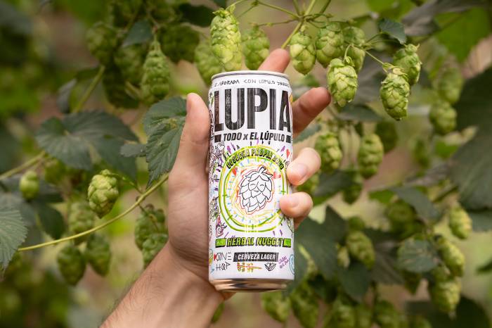 Hijos de Rivera lanza la nueva edición de Lupia con lúpulo gallego de la cosecha 2024