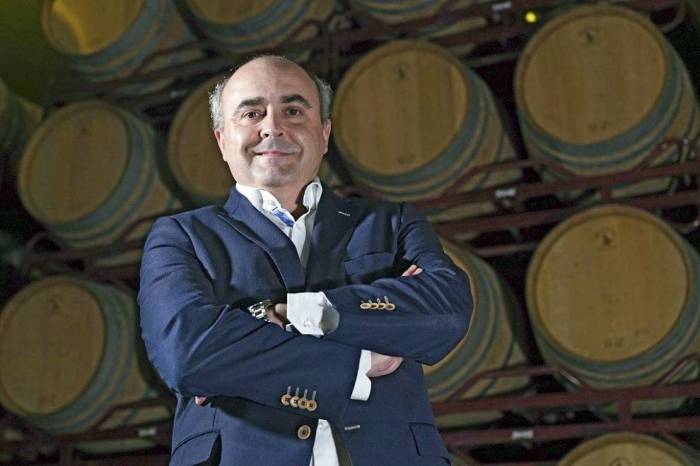 Félix Solís Ramos, director general comercial de la bodega Félix Solís Avantis