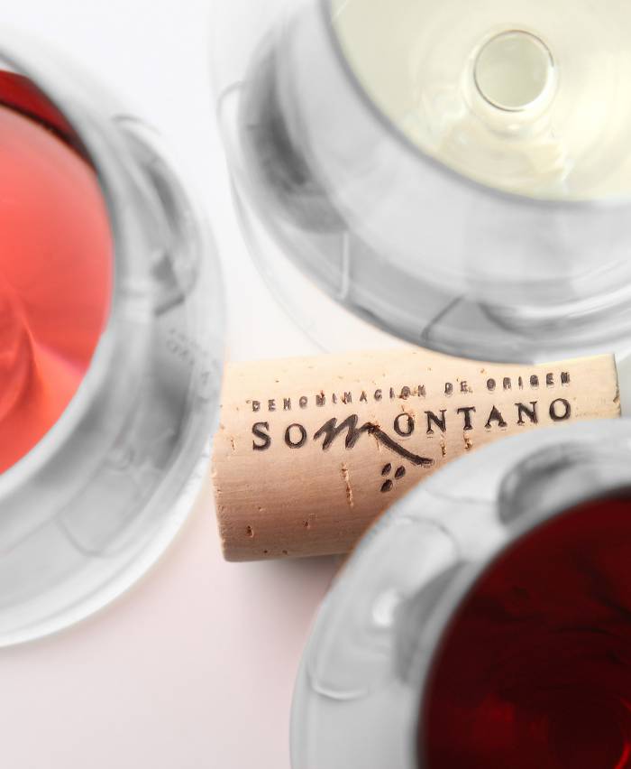 Somontano impulsa su proyección nacional e internacional en la Feria Nacional del Vino FENAVIN 2025