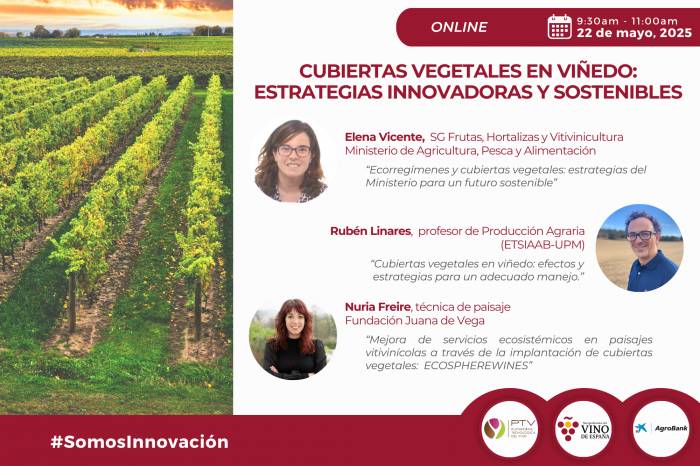 Seminario en línea abordará el uso de cubiertas vegetales para una viticultura más sostenible en España