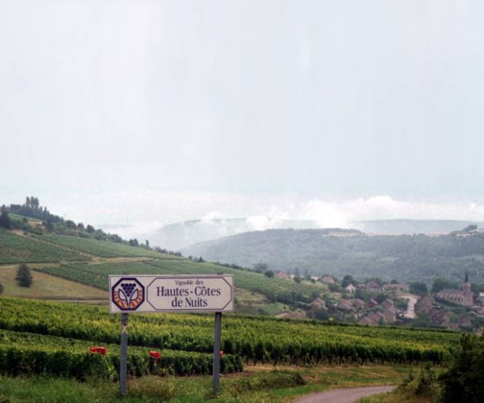 Hautes-Côtes vineyards gain prominence as Burgundy adapts to climate change and attracts top winemakers