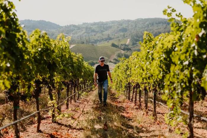 El Gobierno eleva a 315 millones la subvención para seguros agrarios en 2025 ante el aumento de riesgos climáticos