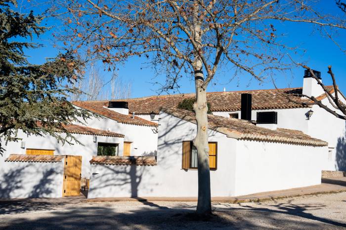 La Denominación de Origen Valencia inaugura la renovada Vinya Alforí en el Día Vino D.O. 2025