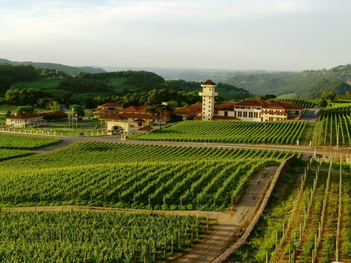 Half a Million Tourists Flock to Rio Grande do Sul, Powering Brazil’s Wine Tourism Boom