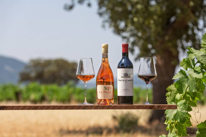 La Dehesa El Molinillo lanza dos vinos de viñedos a más de 700 metros en los Montes de Toledo