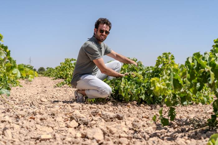 Las Marianas Airén 2023 elegido mejor Airén de España con 94 puntos en la Guía SeVi 2025