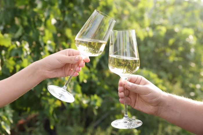 German Wine Producers Face Ruinous Prices as VAT Cut to 7 Percent Set for 2026