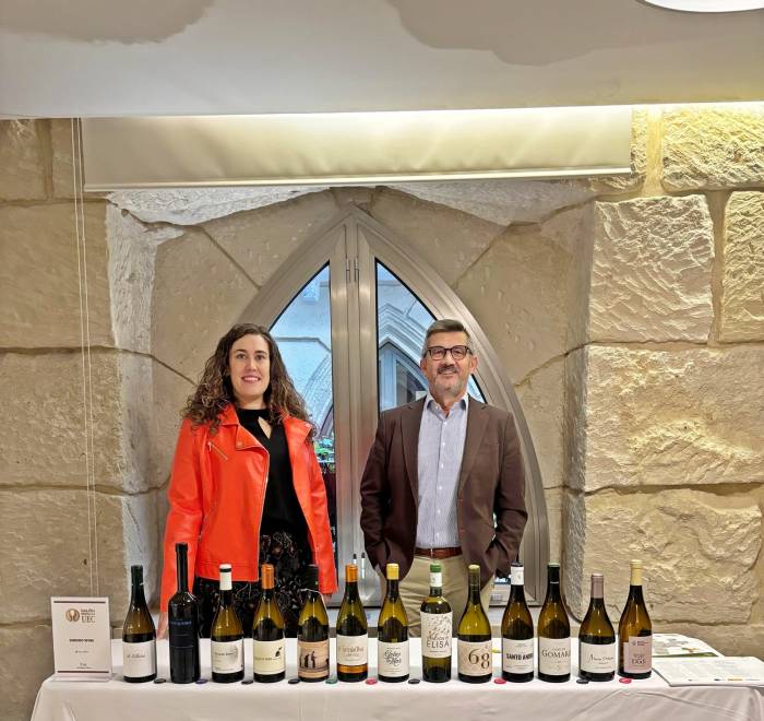 Trece vinos de Ribeiro premiados se presentan en Alicante en el primer Salón de las Medallas UEC