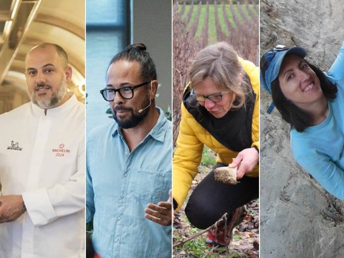 Calatayud acoge en noviembre el primer encuentro internacional sobre viñedo extremo y suelos singulares