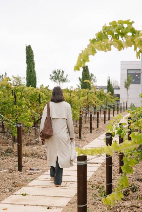 José Pariente restaura 7.200 metros cuadrados con 31.500 plantas autóctonas y tecnología pionera en paisajismo regenerativo