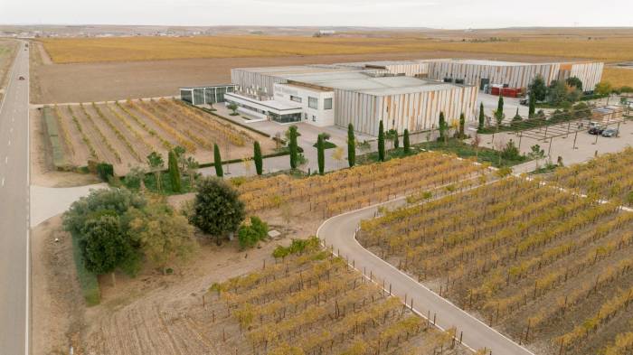 Bodegas José Pariente restaura 7.200 metros cuadrados y planta 31.500 especies autóctonas en su viñedo de Rueda