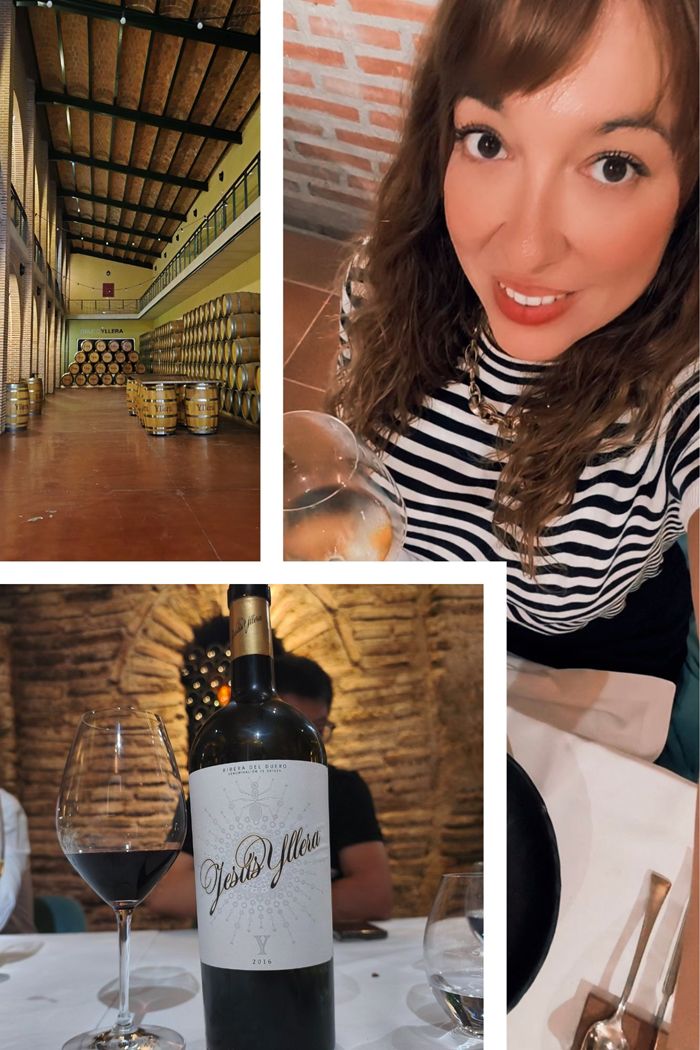 Visita a Bodegas Yllera