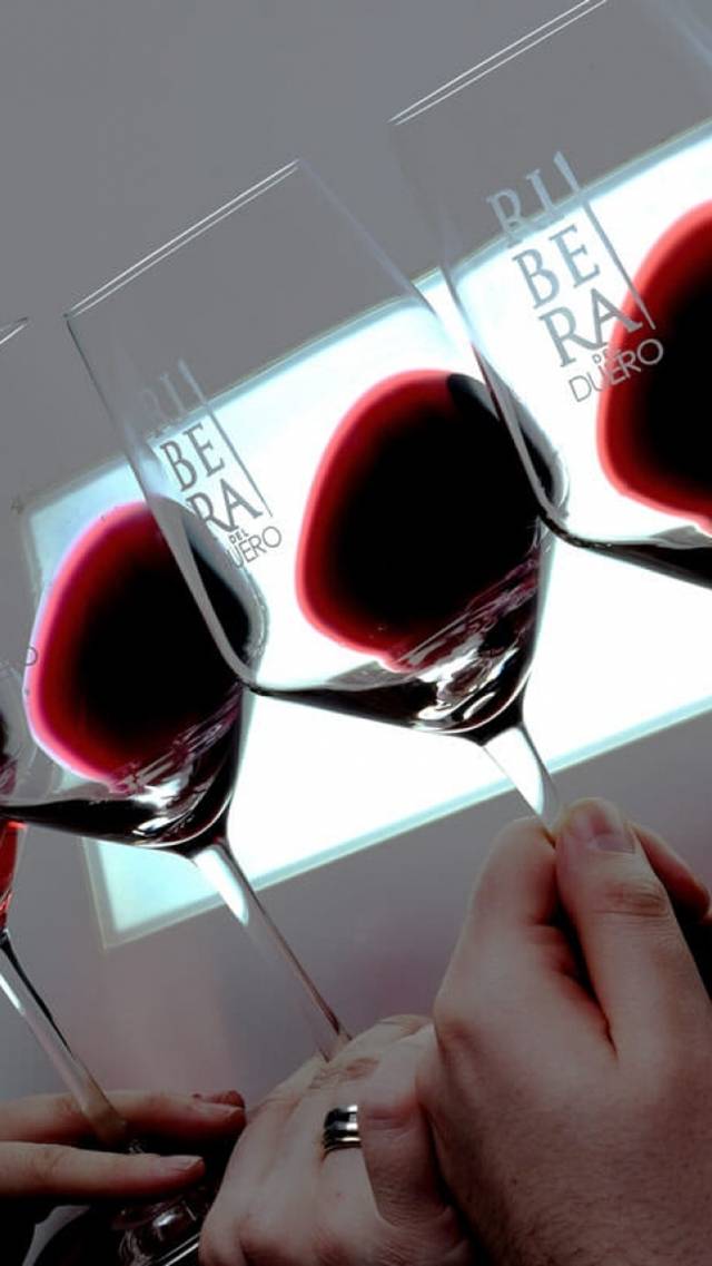 La D.O. Ribera del Duero aporta más de 1.330 millones al PIB y genera 21.000 empleos en España