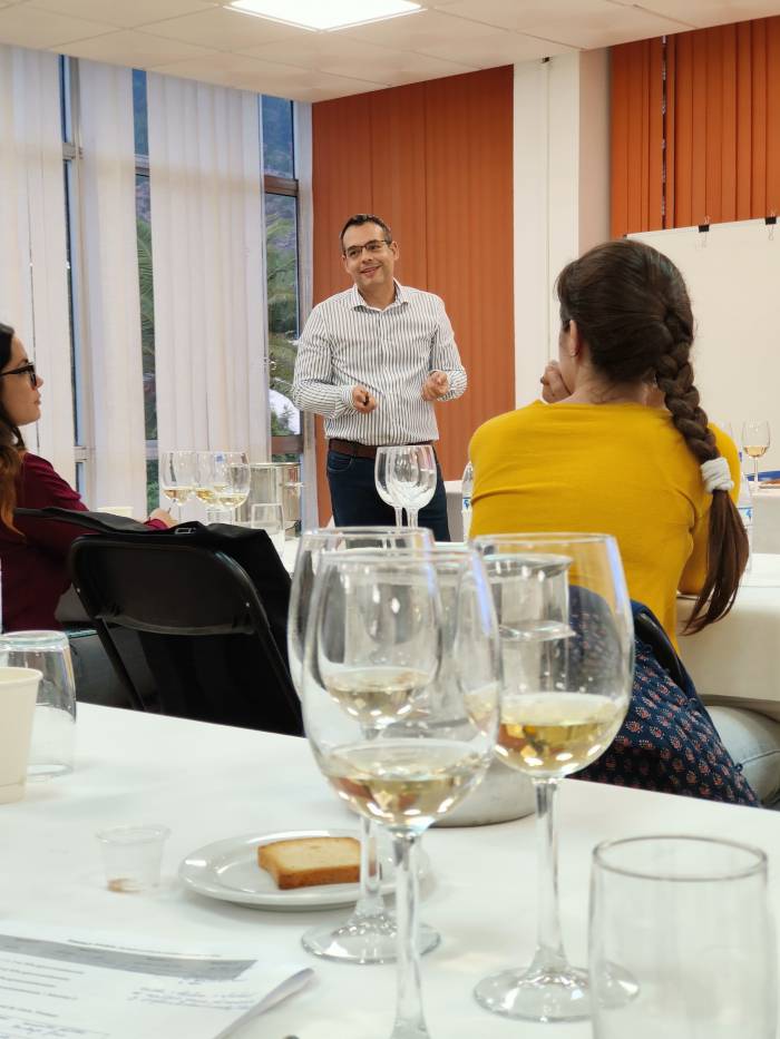 La Palma impulsa la viticultura regenerativa para proteger sus viñedos frente a la erosión y el cambio climático