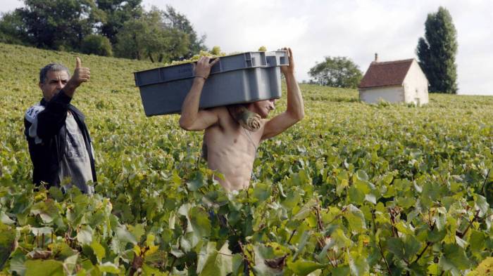 Hospices de Beaune Wine Auction Raises €18.4 Million, Third-Highest Total in Event’s 164-Year History