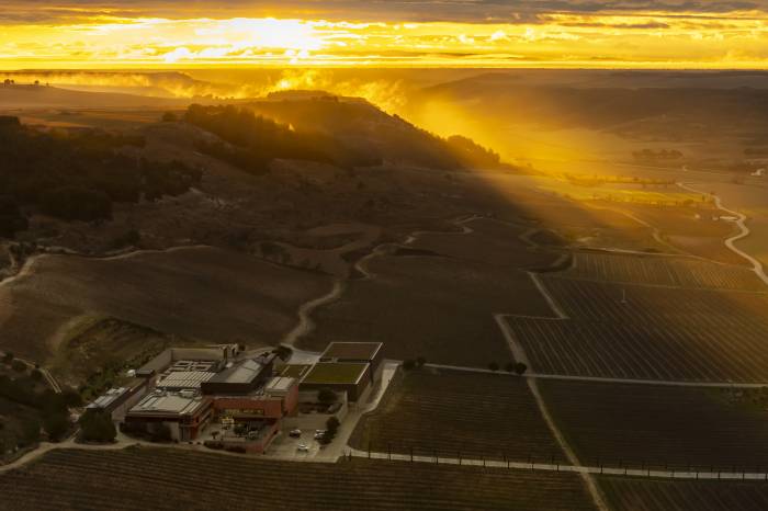 Pago de Carraovejas entra en el top 20 mundial de bodegas según World’s Best Vineyards 2025
