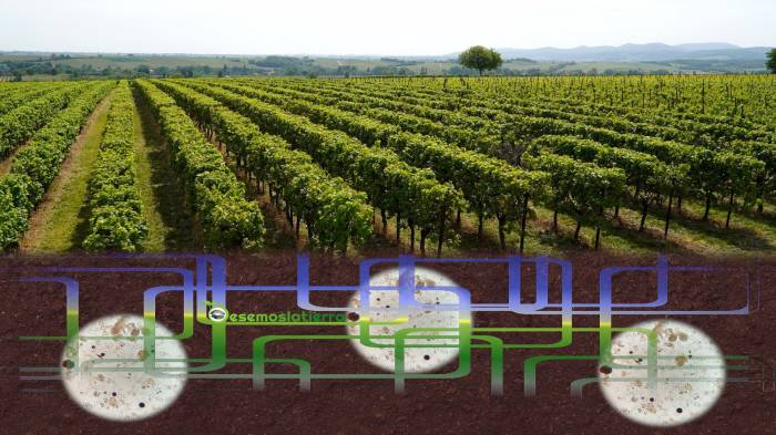 Microbioma del Suelo 3D permite reducir el uso de químicos en agricultura con sensores, análisis genético e inteligencia artificial