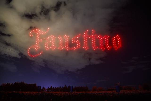 Bodegas Faustino 13