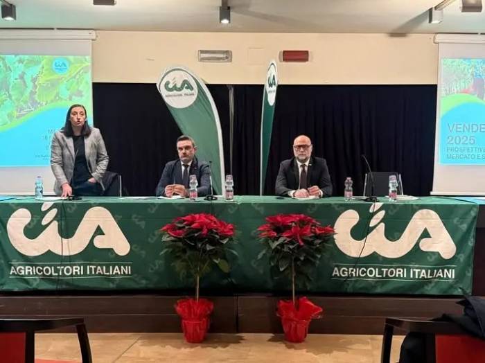 Italian Wine Exports to U.S. Plunge 28 Percent as Tariffs and Dollar Weigh on Market