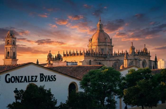 Bodegas Tío Pepe, entre las 21 mejores del mundo y líder en Jerez según The World’s Best Vineyards 2025