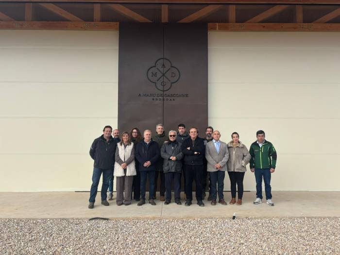 El Matarraña avanza para convertirse en la sexta denominación de origen de vinos de Aragón en 2026