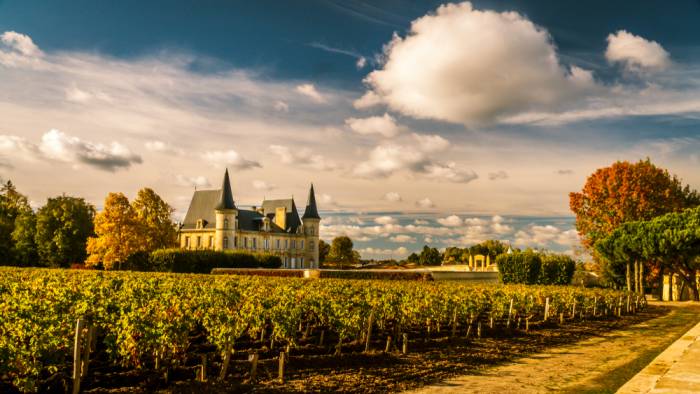 French Vineyard Values Halve as Asset-by-Asset Sales Replace Traditional Methods