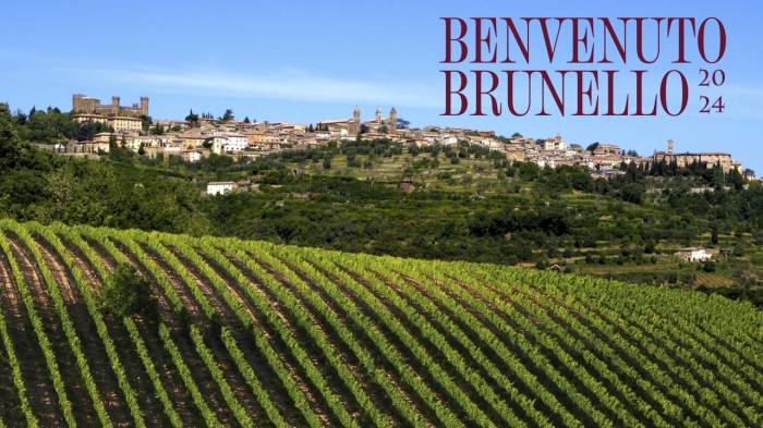 Montalcino Wine Tourism Drives €150 Million Boost as Foreign Visitors Hit 71% of Arrivals