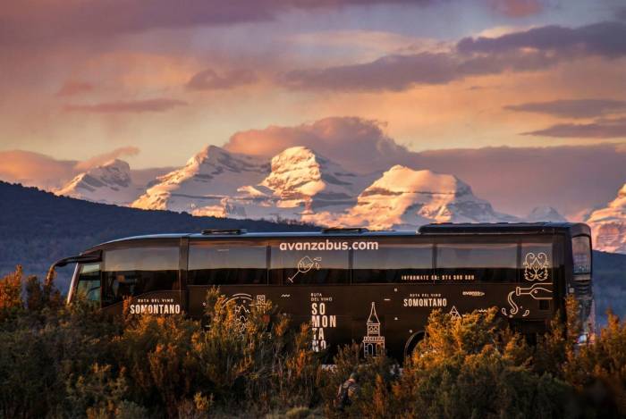 El Bus del Vino Somontano cierra temporada con 419 participantes en diez rutas enoturísticas en 2025