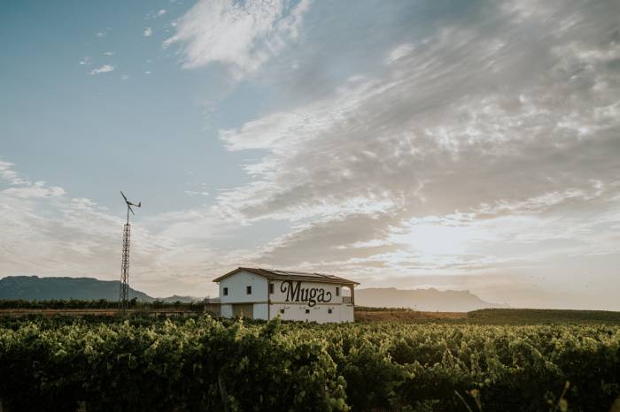Bodegas Muga abre un proceso para incorporar nuevos viticultores de Rioja Alta a su red de proveedores
