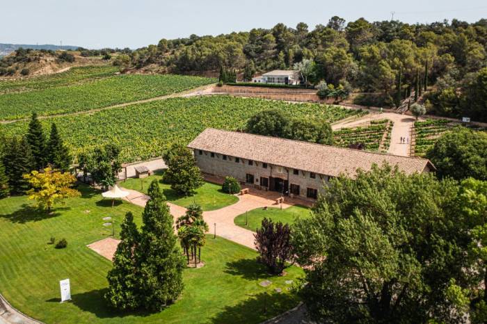 González Byass suma nueve tecnologías limpias y refuerza su apuesta por la descarbonización del sector vitivinícola