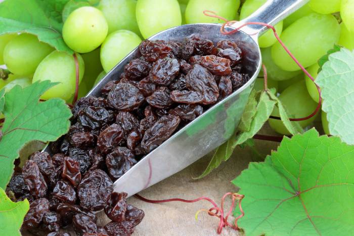 Sun-Dried Raisins Alone Turn Water Into Wine in Kyoto Study, Revealing Ancient Fermentation Secrets