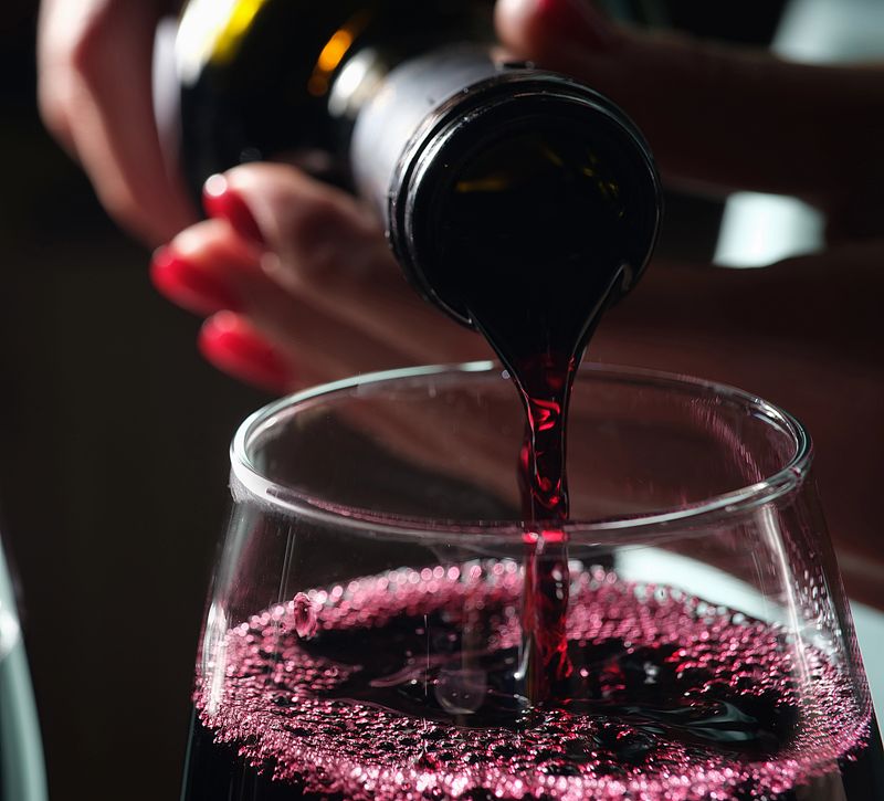 El consumo moderado de bebidas y alimentos fermentados mejora la microbiota y fortalece el sistema inmunitario