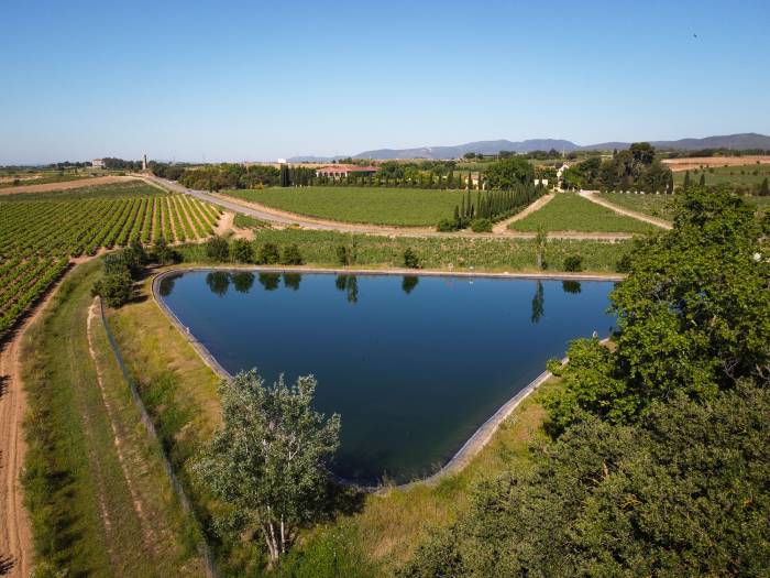 Familia Torres reduce un 22% su consumo de agua y es finalista en el Water Reuse Europe Innovation Prize 2025