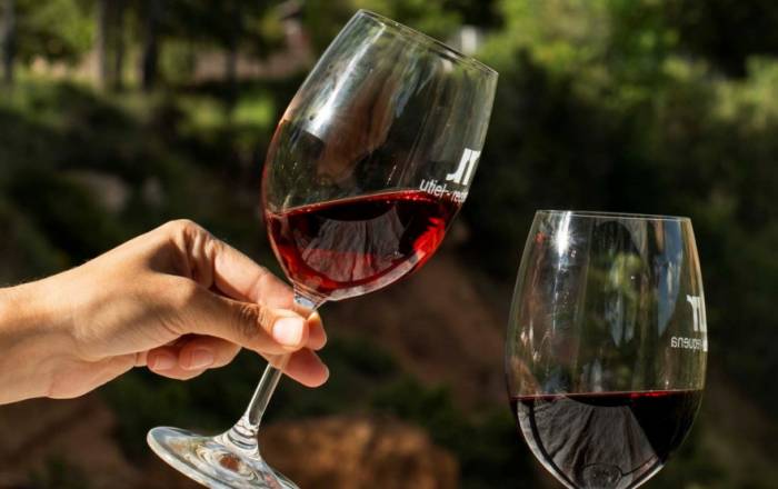 Solo 15 periodistas asistirán a la presentación exclusiva de Tierra Bobal en Madrid