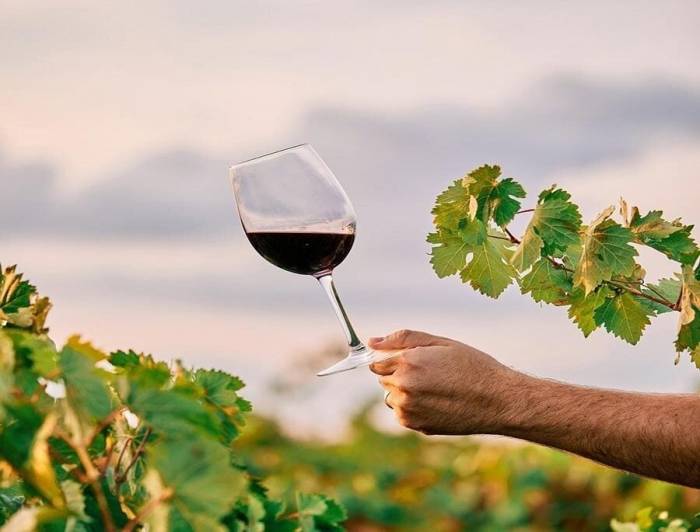 Viñadores 2025 reunirá a 17 bodegas en Madrid con catas desde 11 euros