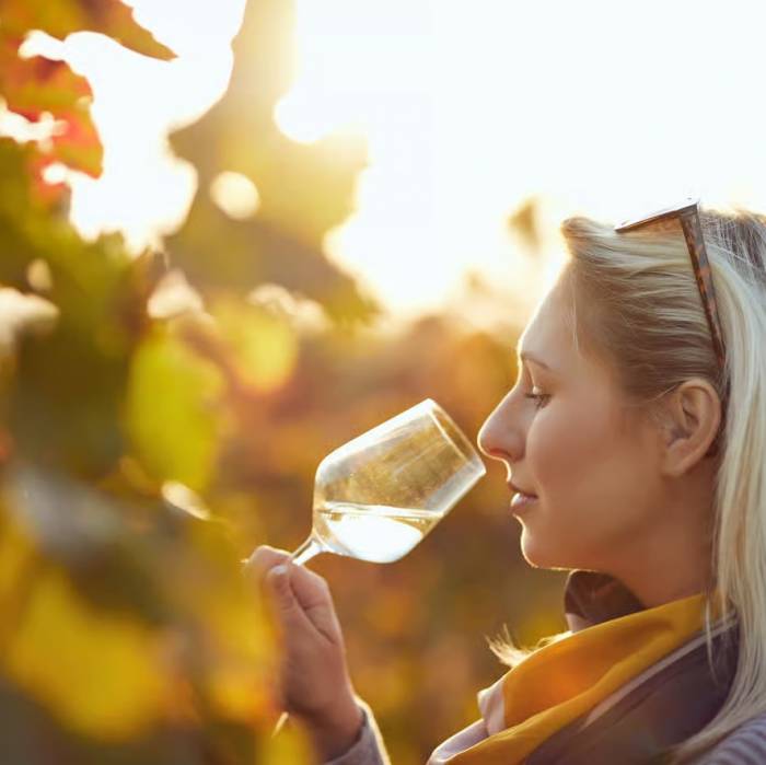 Austrian Wine Industry Adds €3.8 Billion to Economy and Supports 68,000 Jobs in 2023