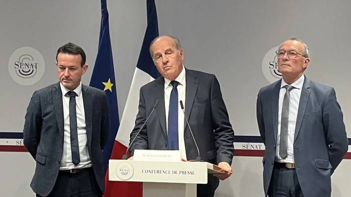 French Wine Sector Generates €14.73 Billion Surplus Amid Calls for Overhaul